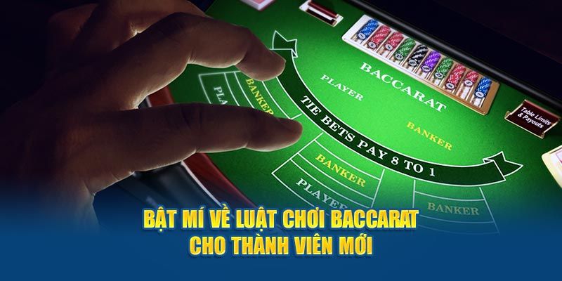 Quy định bắt buộc không được vi phạm